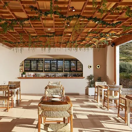 Vasia Sea Retreat (adults Only) Hotel Sissi